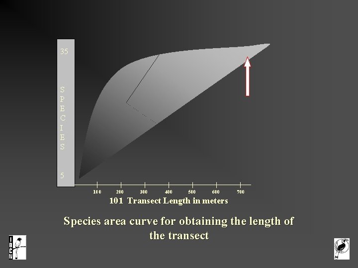  35 S P E C I E S 5 100 200 300 400