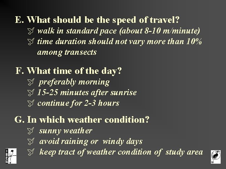  E. What should be the speed of travel? walk in standard pace (about