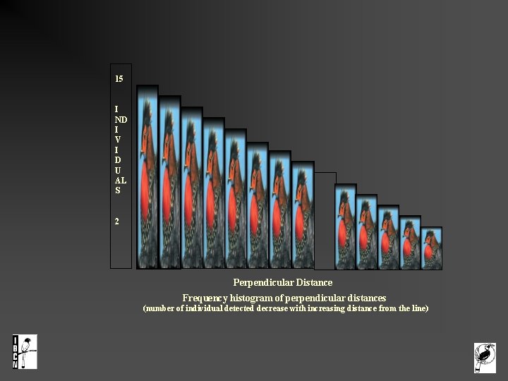  15 I ND I V I D U AL S 2 Perpendicular Distance