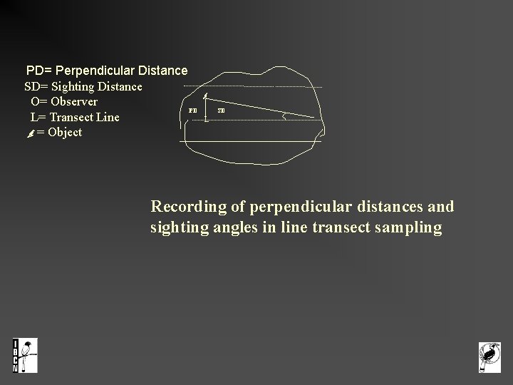 PD= Perpendicular Distance SD= Sighting Distance O= Observer PD SD L= Transect Line L