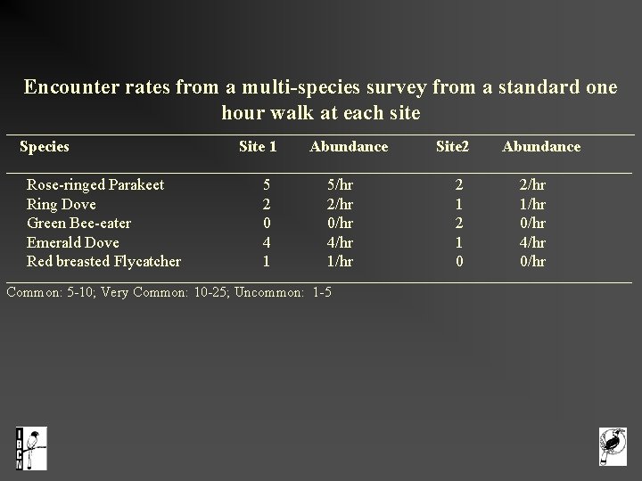 Encounter rates from a multi-species survey from a standard one hour walk at each