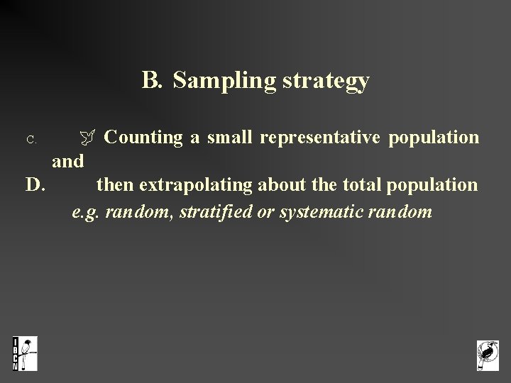 B. Sampling strategy Counting a small representative population and D. then extrapolating about the