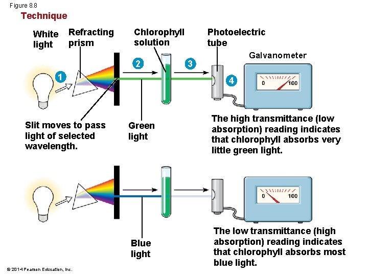 Figure 8. 8 Technique White light Refracting prism Chlorophyll solution 2 1 Slit moves