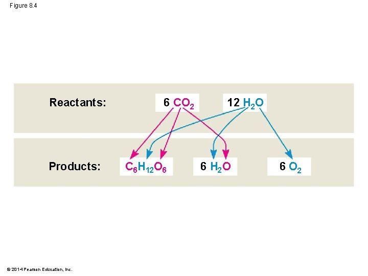 Figure 8. 4 Reactants: Products: © 2014 Pearson Education, Inc. 6 CO 2 C