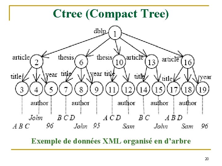 Ctree (Compact Tree) Exemple de données XML organisé en d’arbre 20 