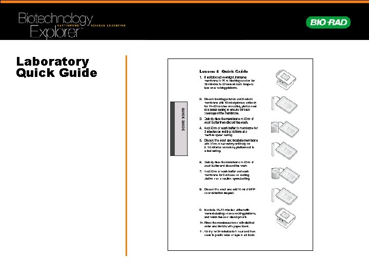 Laboratory Quick Guide 