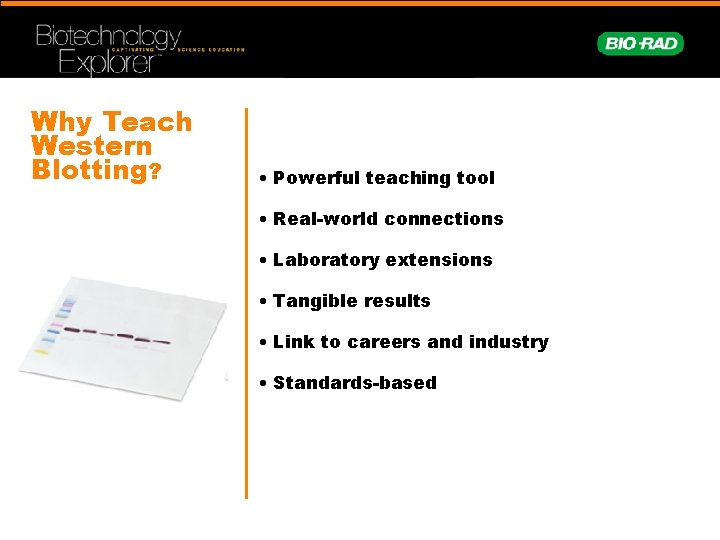 Why Teach Western Blotting? • Powerful teaching tool • Real-world connections • Laboratory extensions