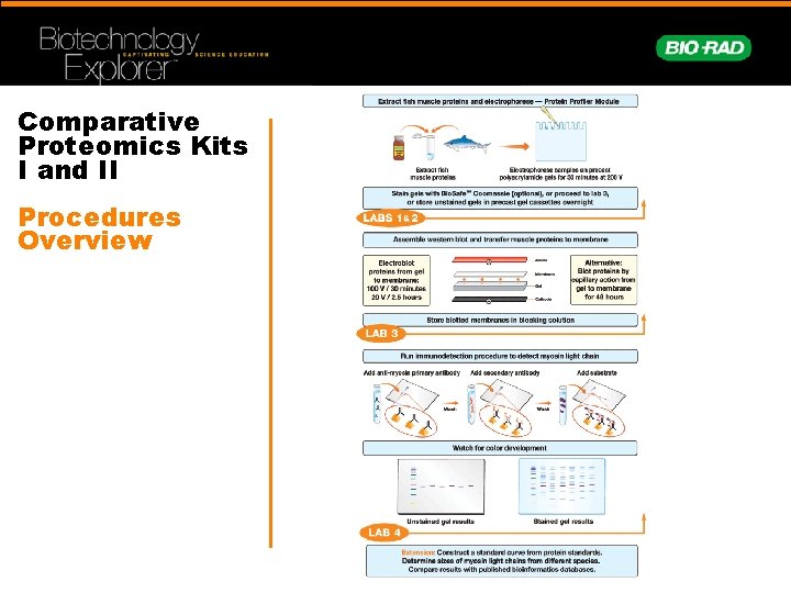 Comparative Proteomics Kits I and II Procedures Overview 