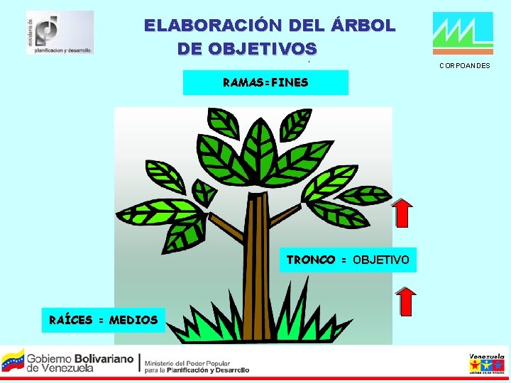 ELABORACIÓN DEL ÁRBOL DE OBJETIVOS CORPOANDES RAMAS=FINES TRONCO = OBJETIVO RAÍCES = MEDIOS 