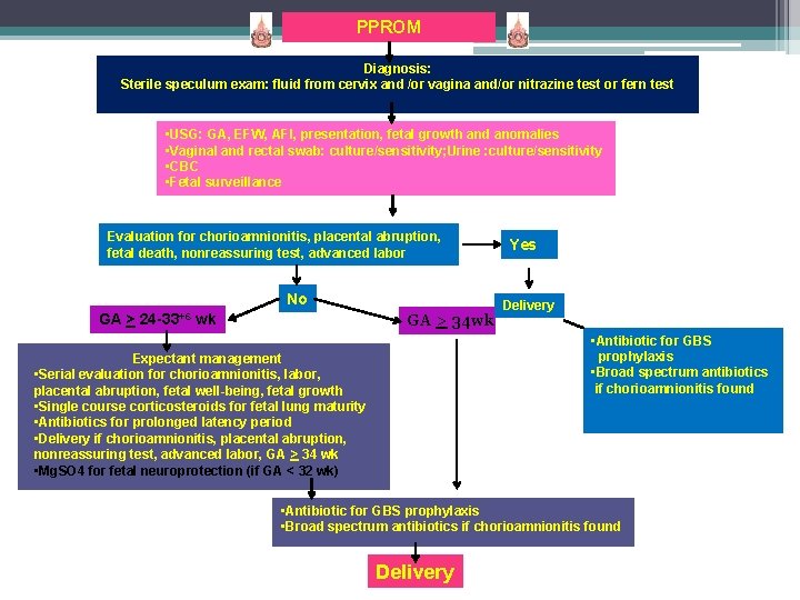 PPROM Diagnosis: Sterile speculum exam: fluid from cervix and /or vagina and/or nitrazine test