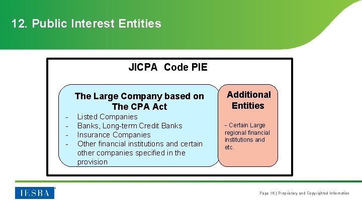  12. Public Interest Entities 　 　　　　　 JICPA Code PIE The Large Company based