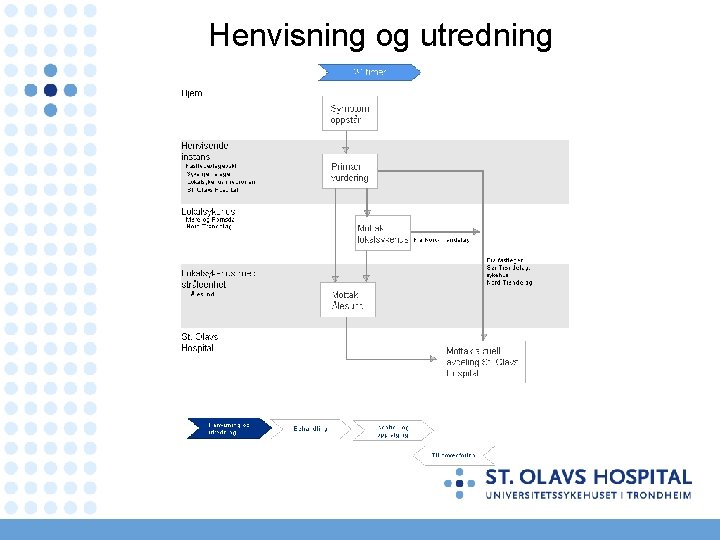Henvisning og utredning 