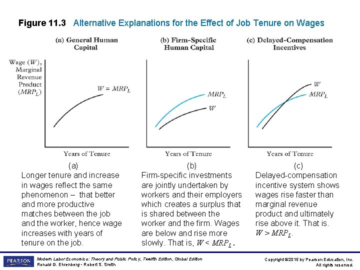 Figure 11. 3 Alternative Explanations for the Effect of Job Tenure on Wages (a)