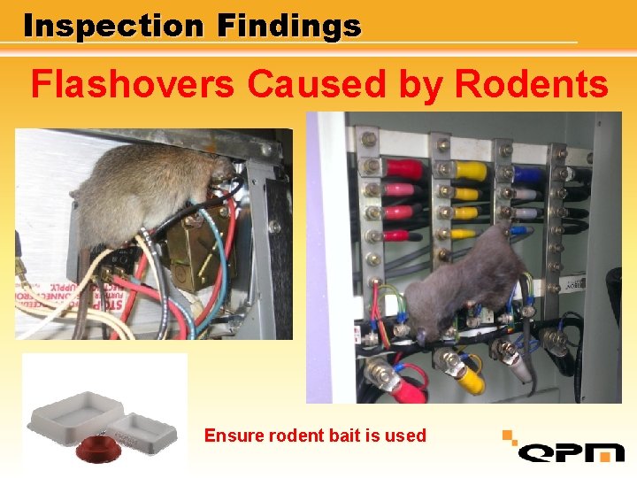 Inspection Findings Flashovers Caused by Rodents Ensure rodent bait is used 