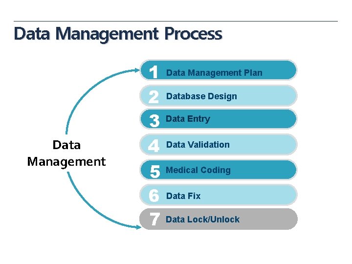 Data Management Process Data Management 1 Data Management Plan 2 Database Design 3 Data Data Management Process Data Management 1 Data Management Plan 2 Database Design 3 Data