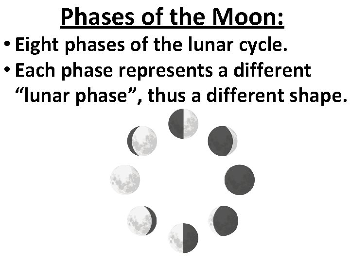 Phases of the Moon: • Eight phases of the lunar cycle. • Each phase