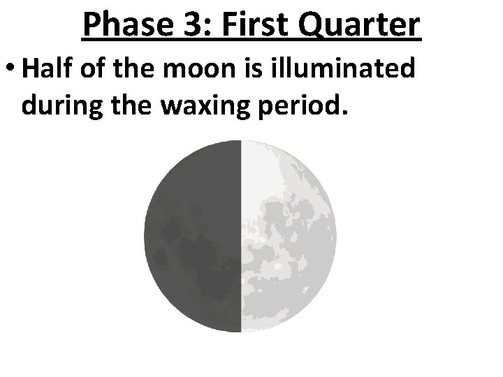 Phase 3: First Quarter • Half of the moon is illuminated during the waxing