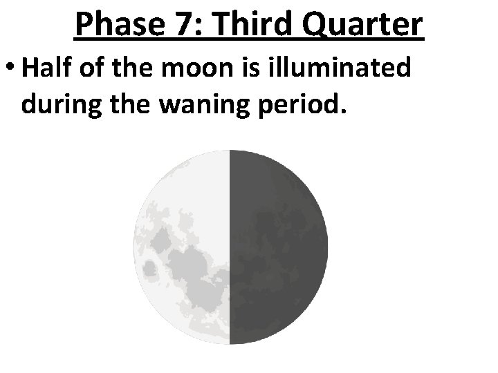 Phase 7: Third Quarter • Half of the moon is illuminated during the waning