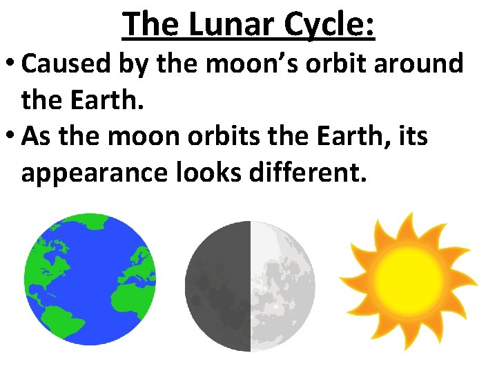 The Lunar Cycle: • Caused by the moon’s orbit around the Earth. • As