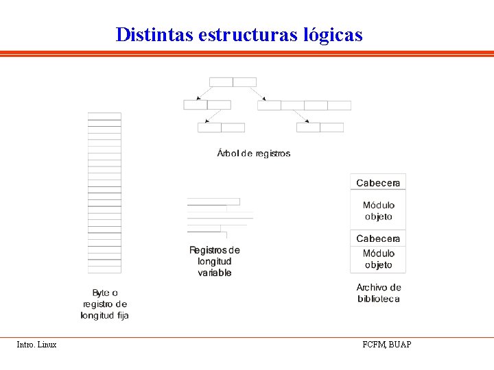 Distintas estructuras lógicas Intro. Linux FCFM, BUAP 
