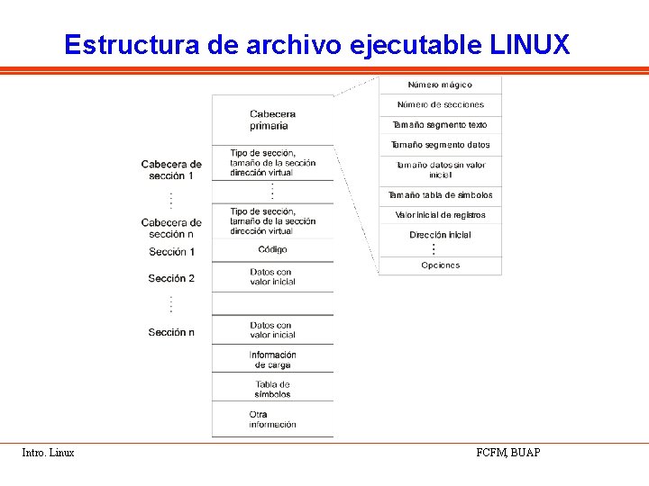 Estructura de archivo ejecutable LINUX Intro. Linux FCFM, BUAP 