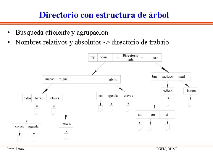Directorio con estructura de árbol • Búsqueda eficiente y agrupación • Nombres relativos y