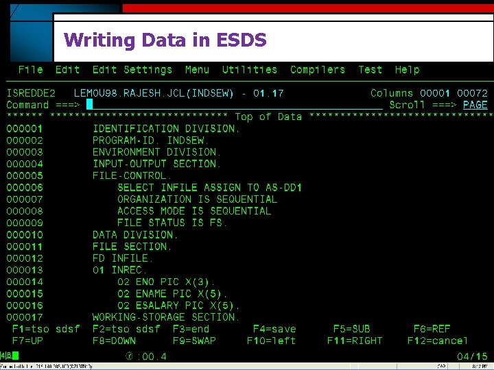 Writing Data in ESDS 