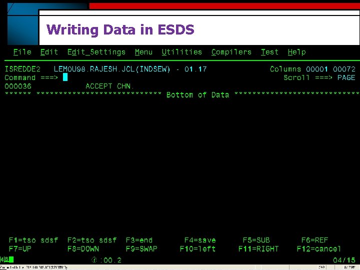 Writing Data in ESDS 