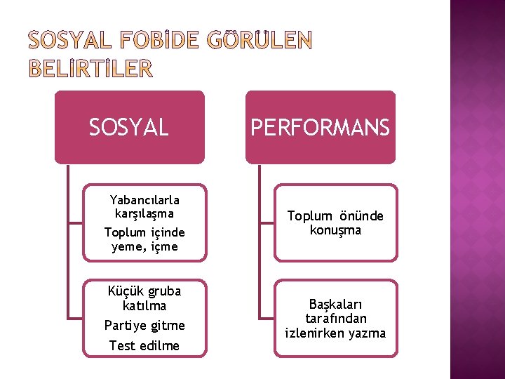SOSYAL Yabancılarla karşılaşma Toplum içinde yeme, içme Küçük gruba katılma Partiye gitme Test edilme