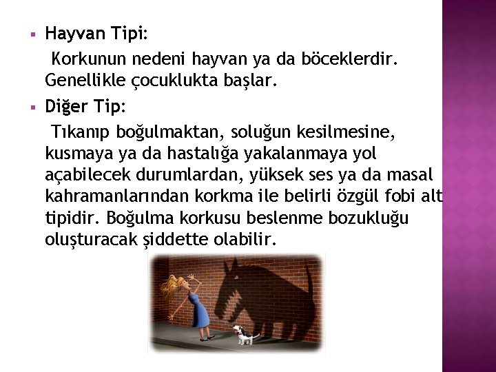 § § Hayvan Tipi: Korkunun nedeni hayvan ya da böceklerdir. Genellikle çocuklukta başlar. Diğer