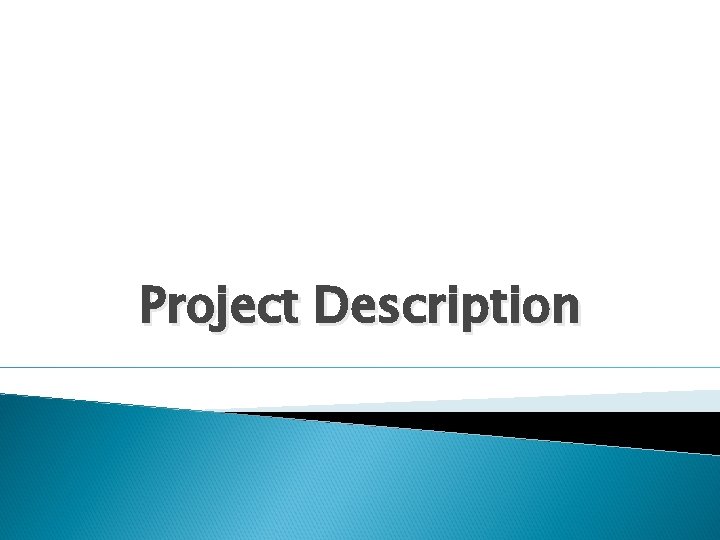 Project Description 