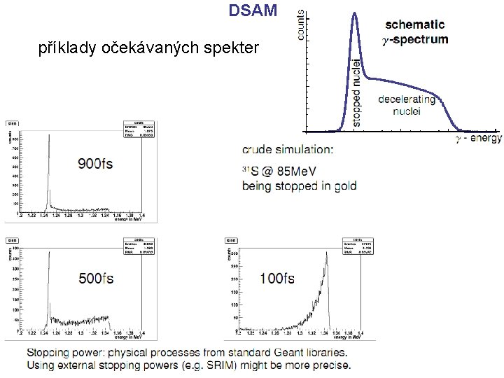 DSAM příklady očekávaných spekter 
