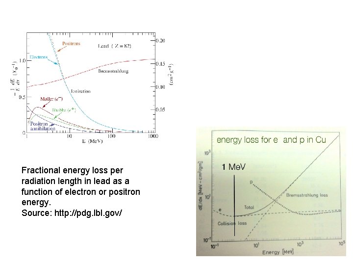 Fractional energy loss per radiation length in lead as a function of electron or