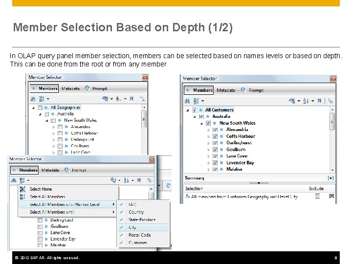 Member Selection Based on Depth (1/2) In OLAP query panel member selection, members can