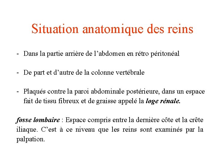 Situation anatomique des reins - Dans la partie arrière de l’abdomen en rétro péritonéal Situation anatomique des reins - Dans la partie arrière de l’abdomen en rétro péritonéal
