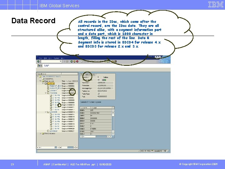 IBM Global Services Data Record 23 All records in the IDoc, which come after