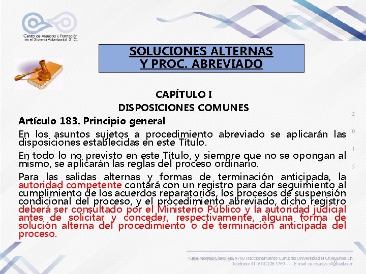 SOLUCIONES ALTERNAS Y PROC. ABREVIADO CAPÍTULO I DISPOSICIONES COMUNES Artículo 183. Principio general En