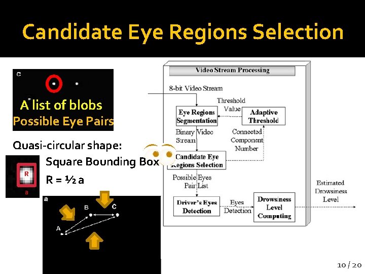 Candidate Eye Regions Selection A list of blobs Possible Eye Pairs Quasi-circular shape: Square