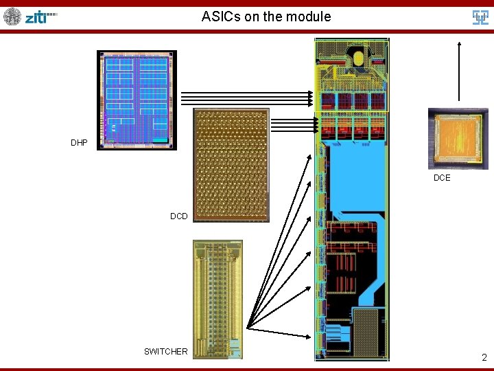 ASICs on the module DHP DCE DCD SWITCHER 2 