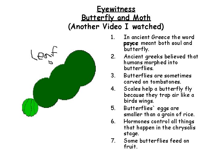 The Lifecycle of the Butterfly and other interesting