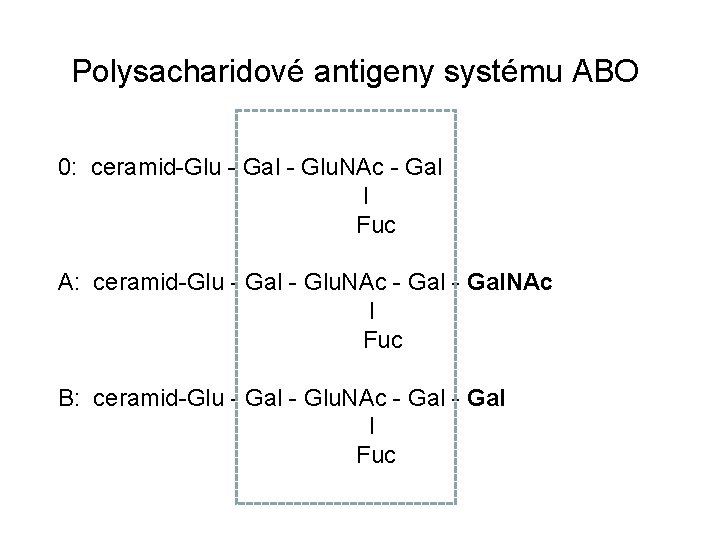 Polysacharidové antigeny systému ABO 0: ceramid-Glu - Gal - Glu. NAc - Gal Fuc