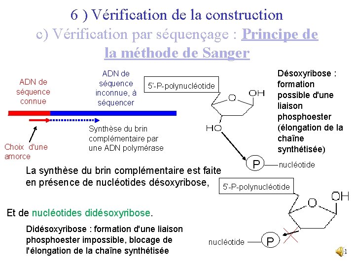 6 ) Vérification de la construction c) Vérification par séquençage : Principe de la