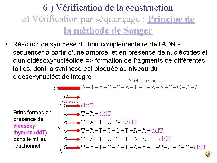 6 ) Vérification de la construction c) Vérification par séquençage : Principe de la