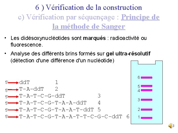 6 ) Vérification de la construction c) Vérification par séquençage : Principe de la