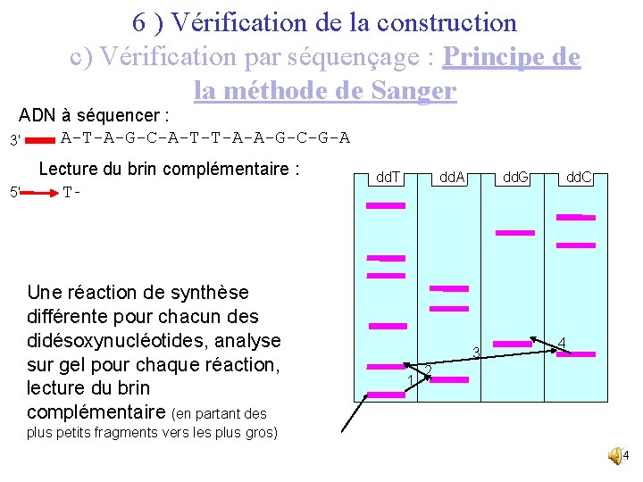 6 ) Vérification de la construction c) Vérification par séquençage : Principe de la