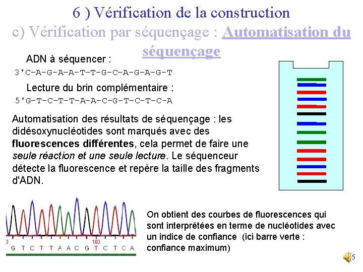 6 ) Vérification de la construction c) Vérification par séquençage : Automatisation du séquençage