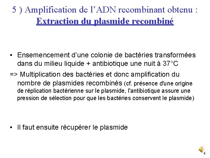 5 ) Amplification de l’ADN recombinant obtenu : Extraction du plasmide recombiné • Ensemencement