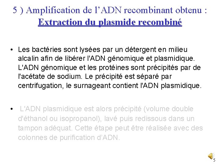 5 ) Amplification de l’ADN recombinant obtenu : Extraction du plasmide recombiné • Les