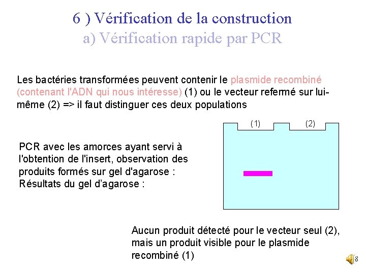 6 ) Vérification de la construction a) Vérification rapide par PCR Les bactéries transformées