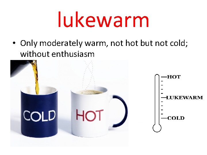lukewarm • Only moderately warm, not hot but not cold; without enthusiasm 
